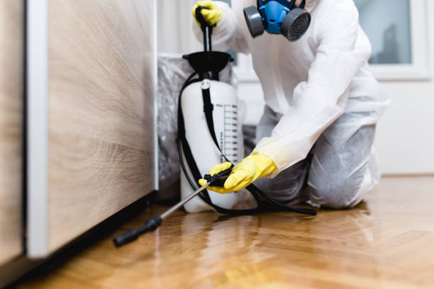 Best Bed Bug Extermination  in Oroville, CA