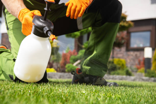 Best Affordable Exterminators  in Oroville, CA