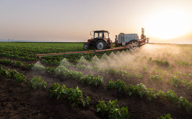 Best Pest Control Near Me  in Oroville, CA