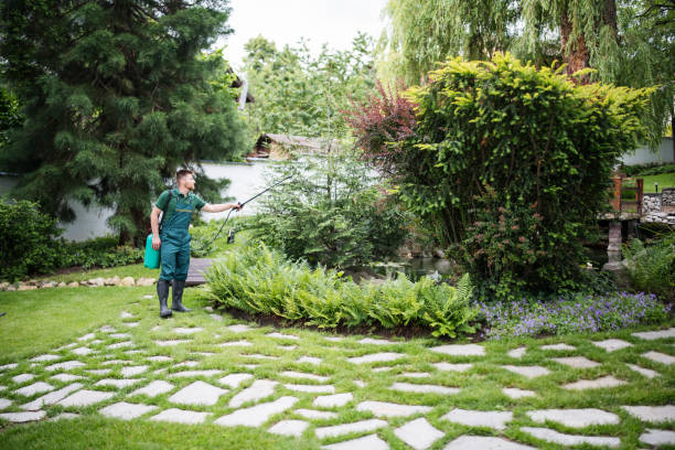 Best Cockroach Control Services  in Oroville, CA