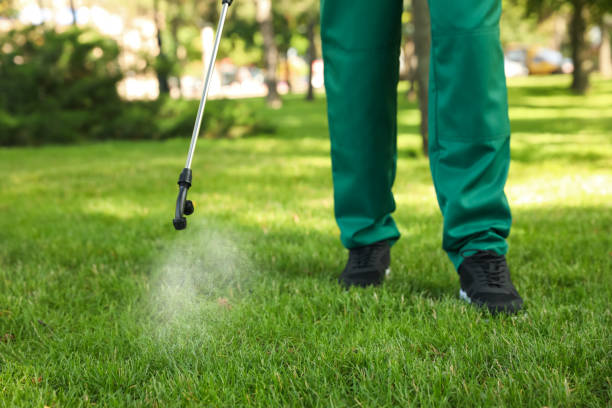  Oroville, CA Pest Control Pros