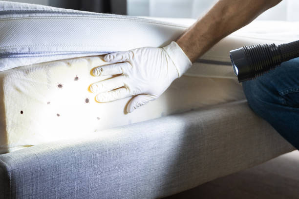 Best Residential Pest Control  in Oroville, CA